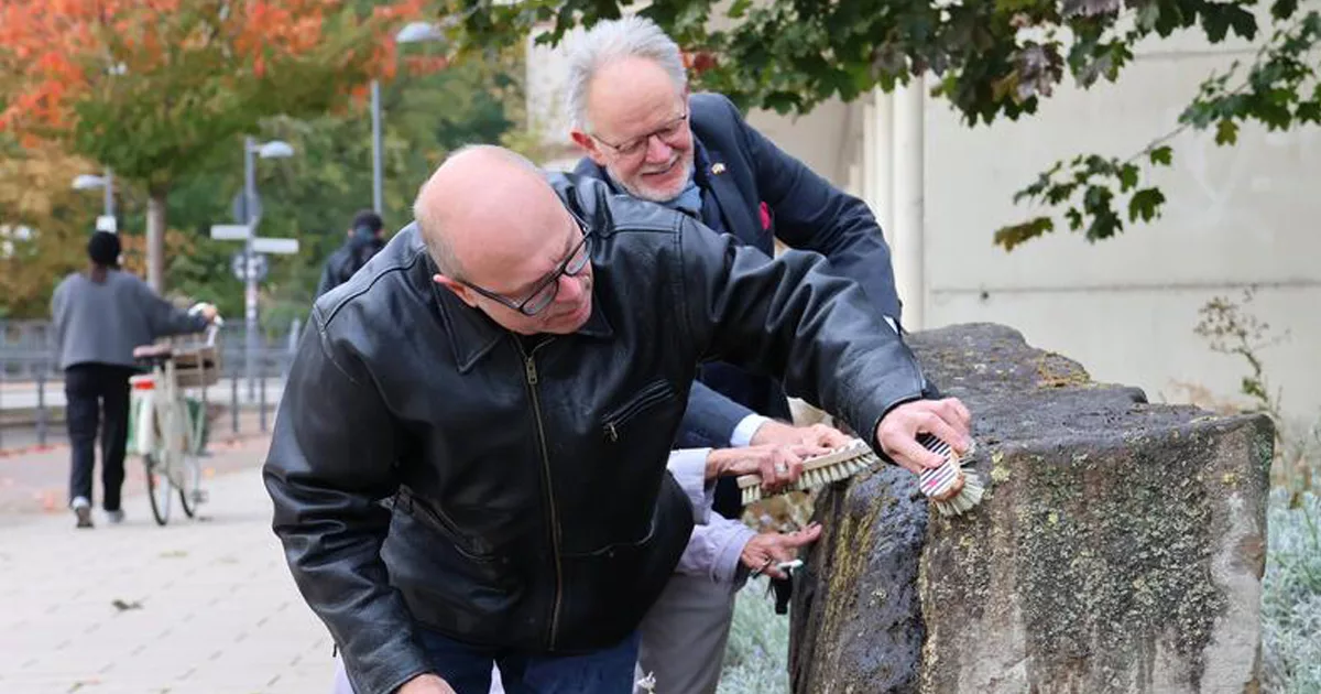 Hier wird fleißig geschrubbt: Oberbürgermeister Dominik Geißler, Alt-OB Hans-Dieter Schlimmer sowie das Stifterehepaar Moser machten sich, mit Wurzel- und Zahnbürsten ausgestattet, an die Entfernung von Moos und Flechten. © Stadt Landau